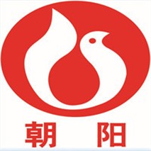 朝陽(yáng)泵業(yè)QZ軸流、QH混流潛水電泵